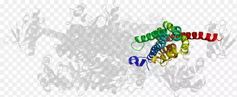 ��־Ʒ�����-������