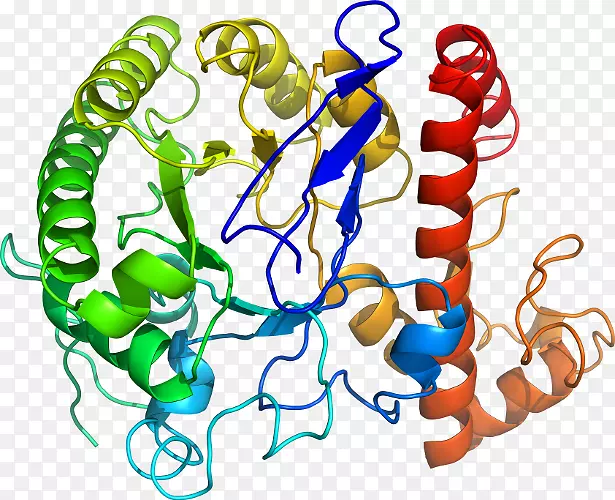 ������Ϊ�����鱦�������鱦����-������