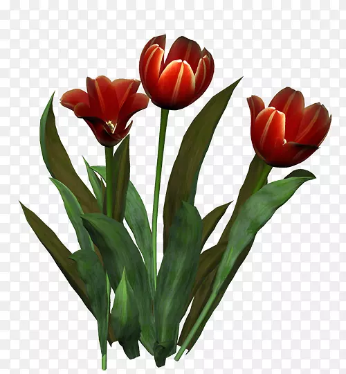 �����㻨���л�������-������