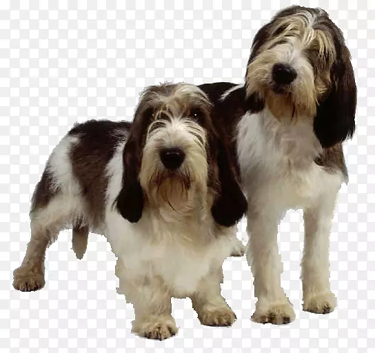 С�����ظ���Ҵ����ظ���Ұ�����Ȯ�����Ҹ���Ҵ������µ�-����-������