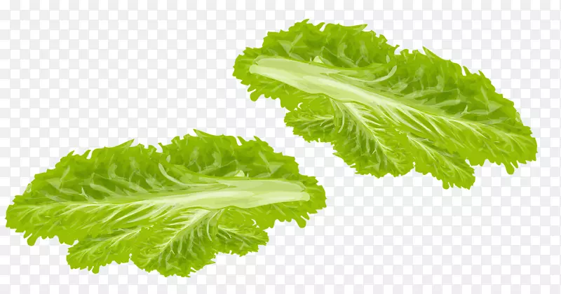 �߲������߲�-������