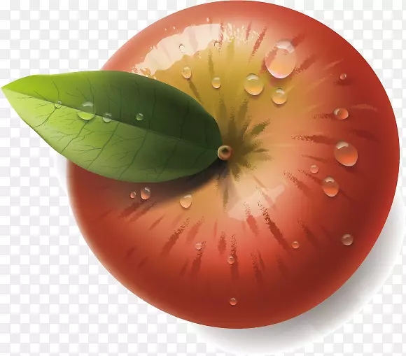 ƻ����ͼ-ƻ��-������