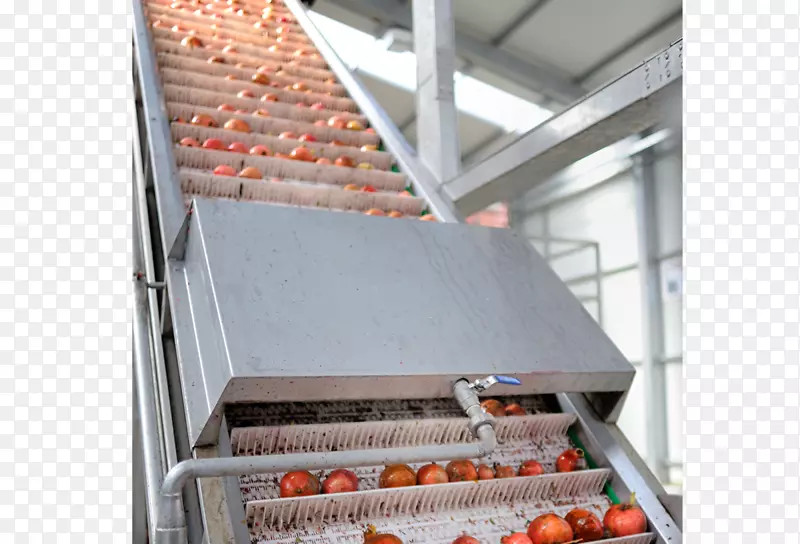 �ݶ��ֳ������õ���-����-������