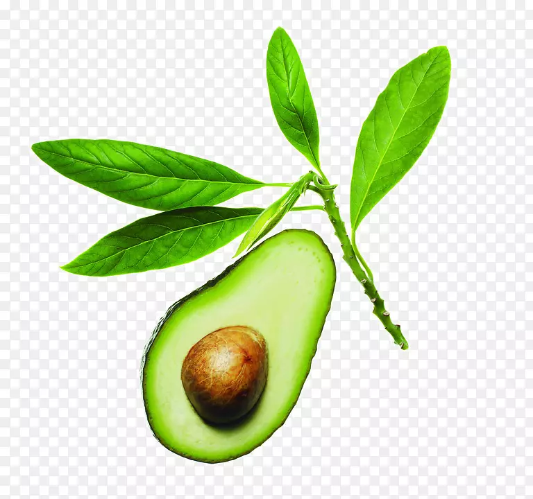 ָ����.����Ԫ��-������