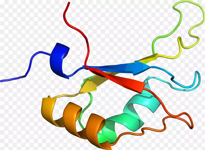 �ߵ������������-������