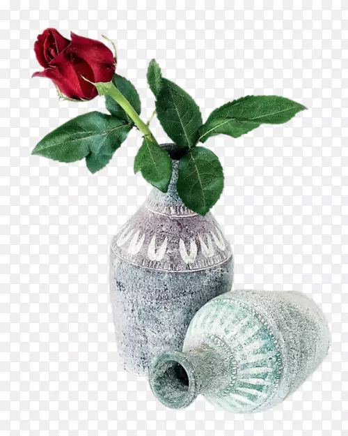 ��ƿ-��ƿ-������