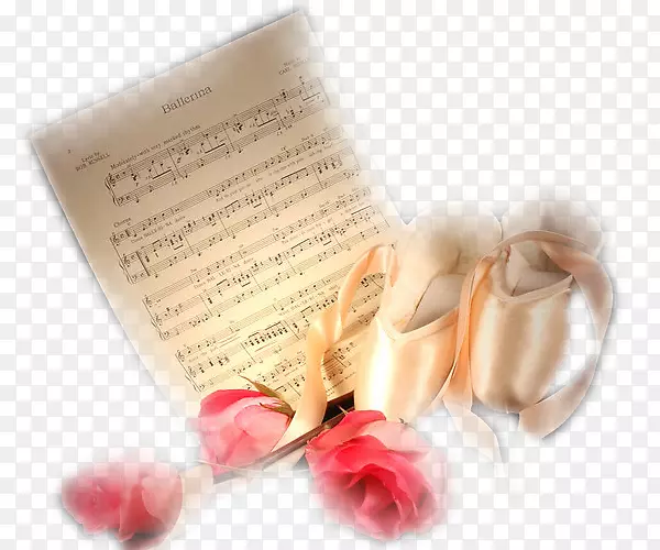 ������Ӱ������Ա������-������