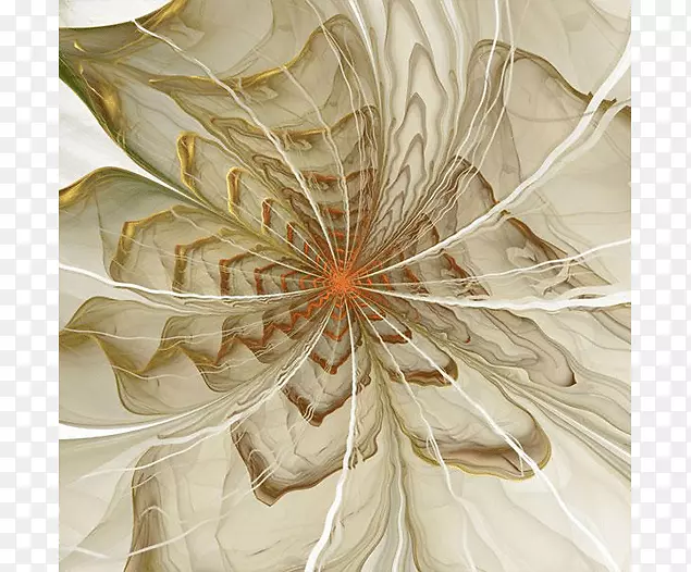 ���껨����Ӱ-������