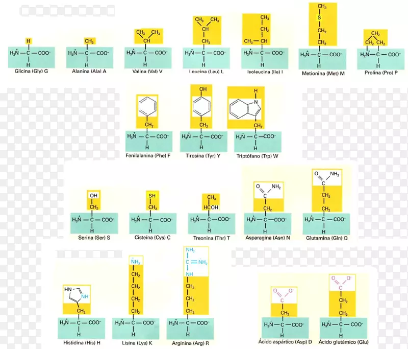 Griffithʵ�鰱���ᵰ������ϳ�DNA����-������