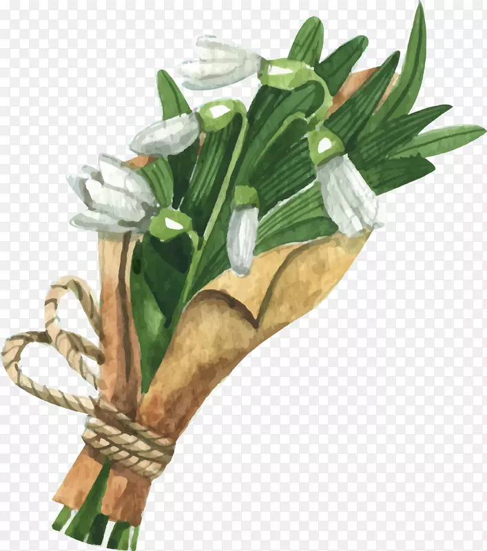 ˮ�ɻ�������ɫˮ�ɻ���-������