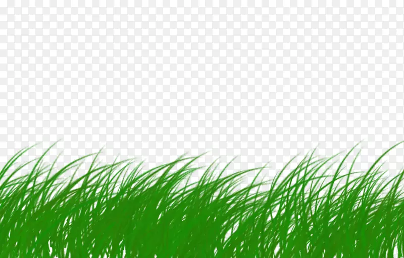 �����ƺ��������-����-������