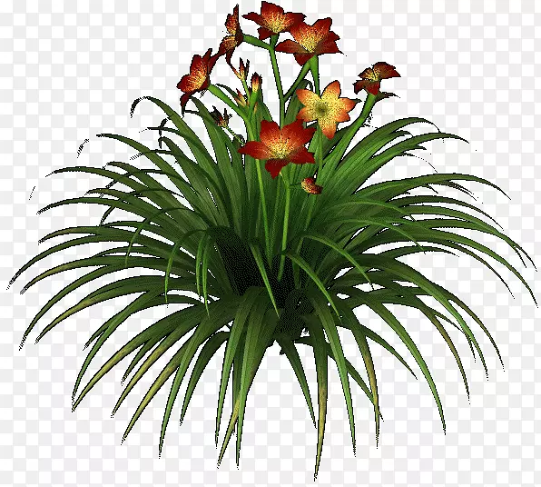 ʷ����-������