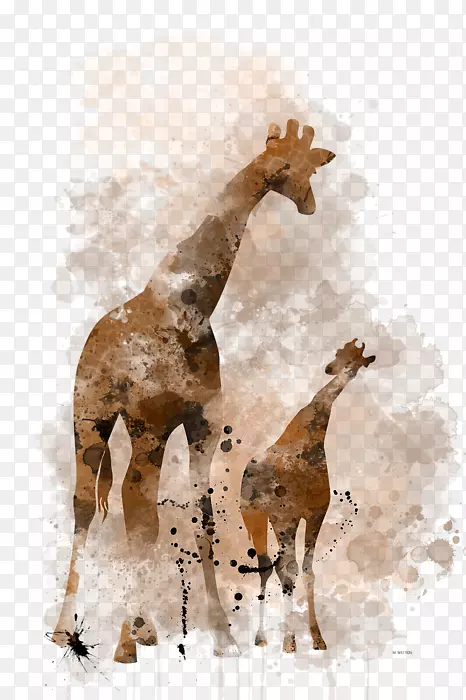 ����¹������½�ض��Ұ�����-С����¹-������