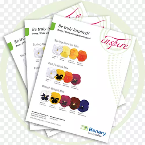 Ʒ�Ʋ���-����Ҷ-������