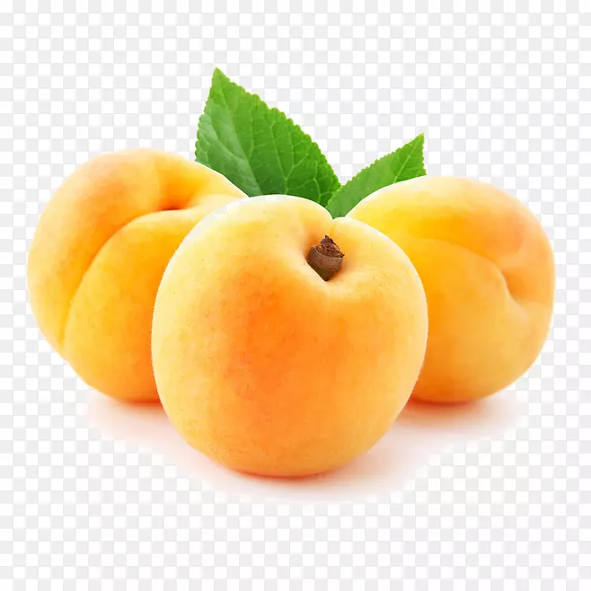 ��֭��ˮ�����ӹ���-������