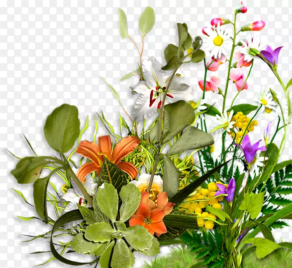 ������԰õ�廨-��԰ֲ��-������