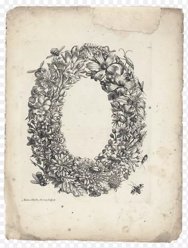 �����Ϸ仨������-������