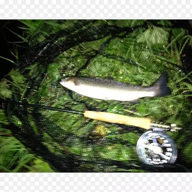 ��-��-������