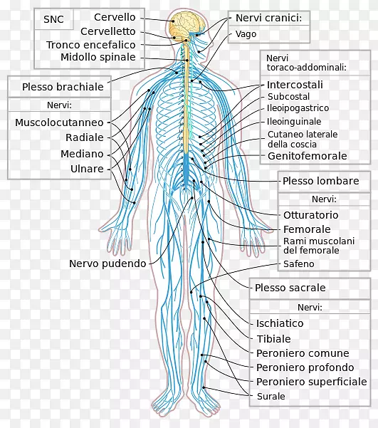 ��Χ������������ϵͳ-��-������