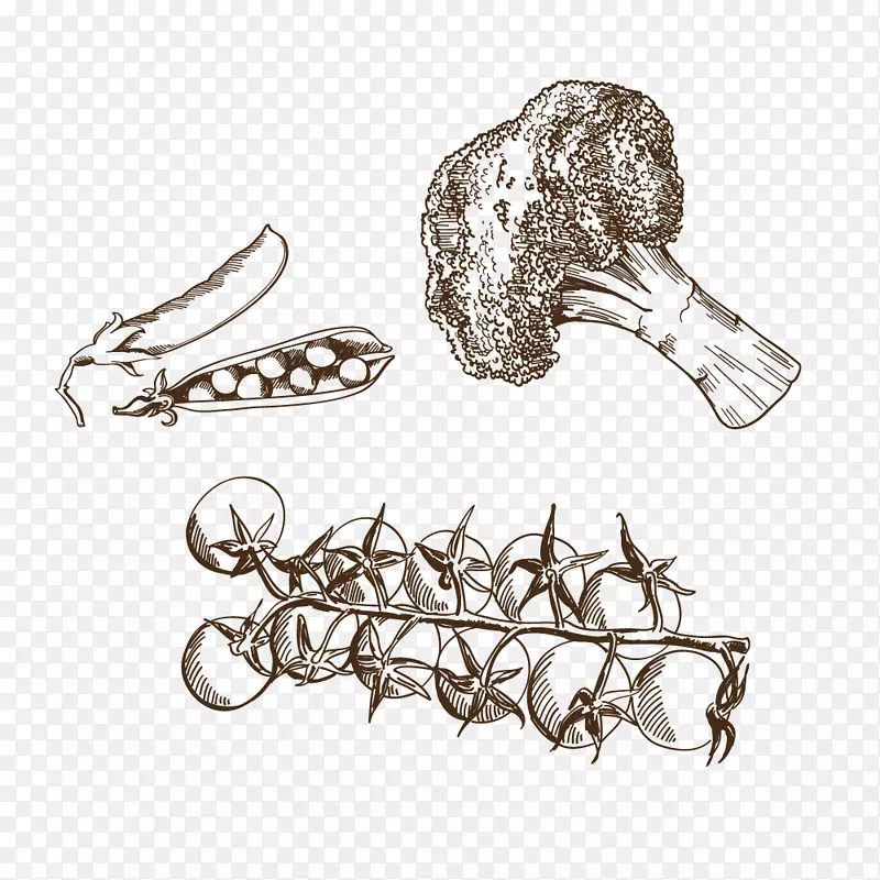 ��������.��-������