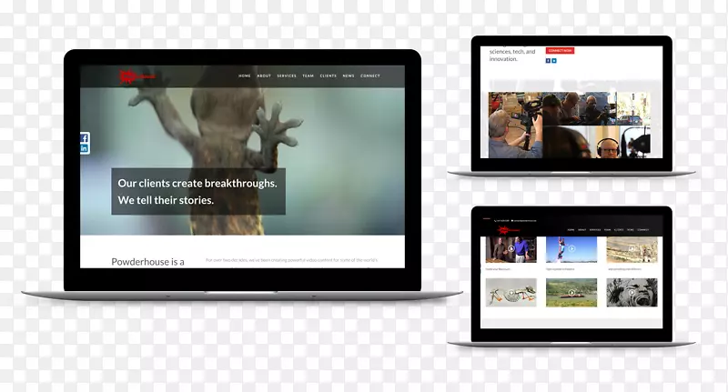 ��ʾװ�ö�ý����ʾ���������-������