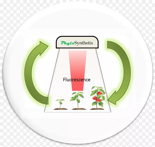 Ʒ�Ʊ�־-���-������