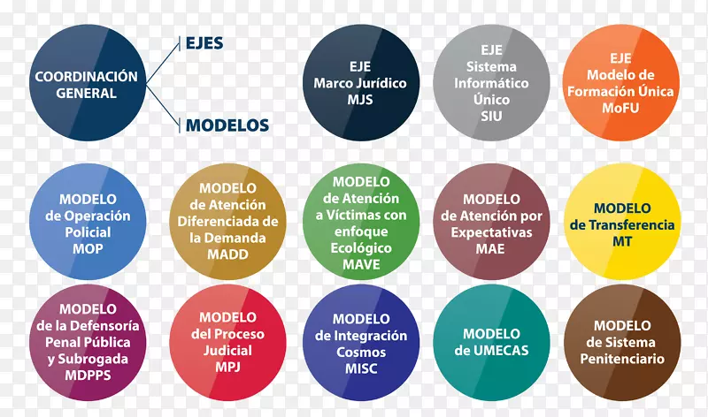 ��ѧ����-��ѧ-������