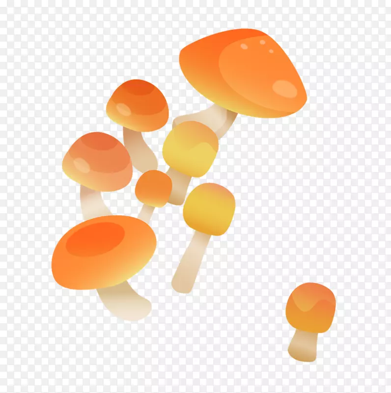 Ģ������-��ͨĢ��-������