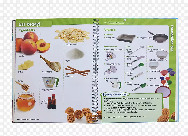 ��ʦ���ʳ����ʳ���-������