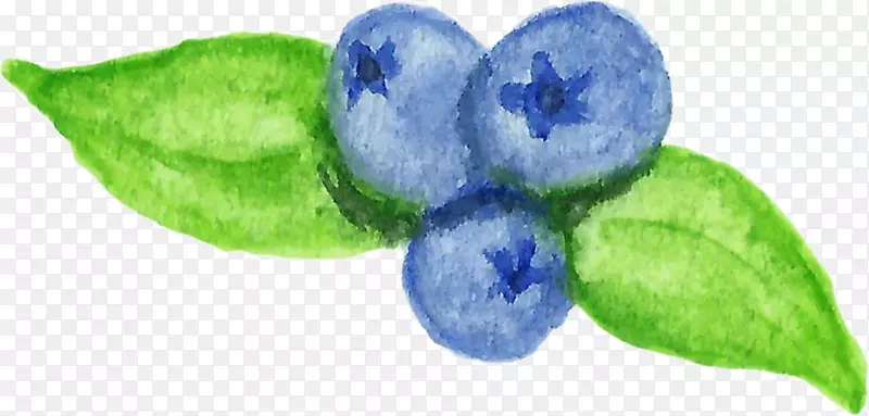 Խ�ٿ���ֲ��Ҷ-������