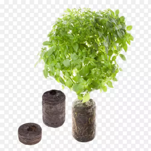 ������԰��ݻ���ţ��-����-������