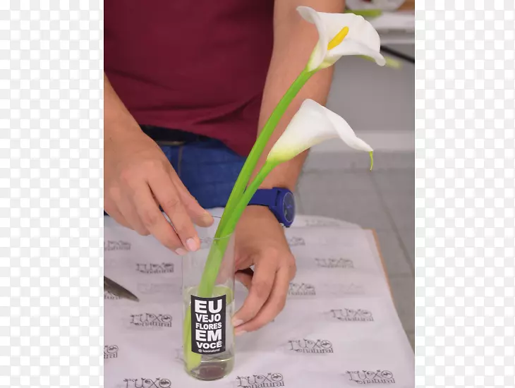 Ĵָ�������-������