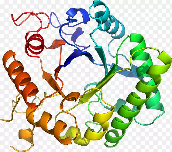 �����鱦�л�������������.�鱦-������