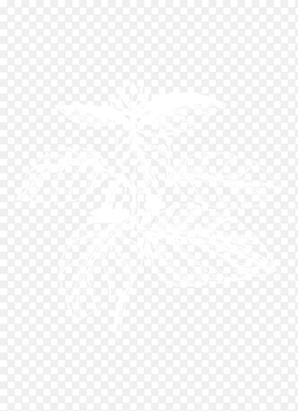 ���ϴ�˹��������װ����Ь-���ϴ�˹-������