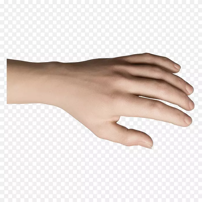 Ĵָ����ָ��-������