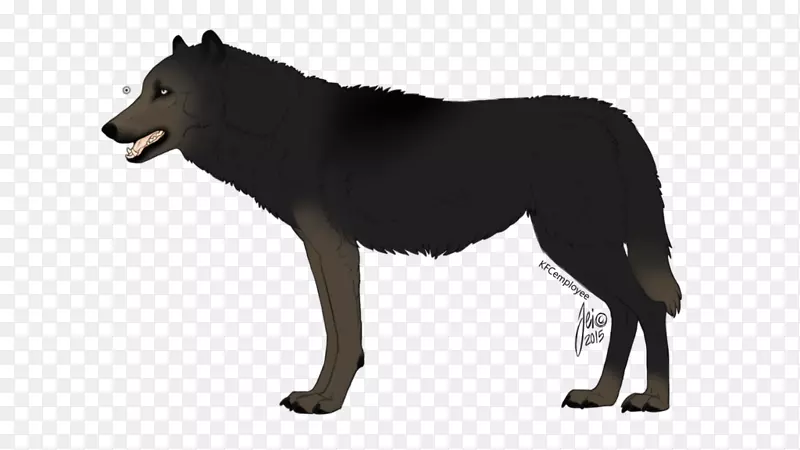 �����岩��-��-������