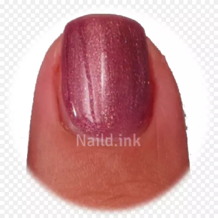 ָ�������ɫ-������