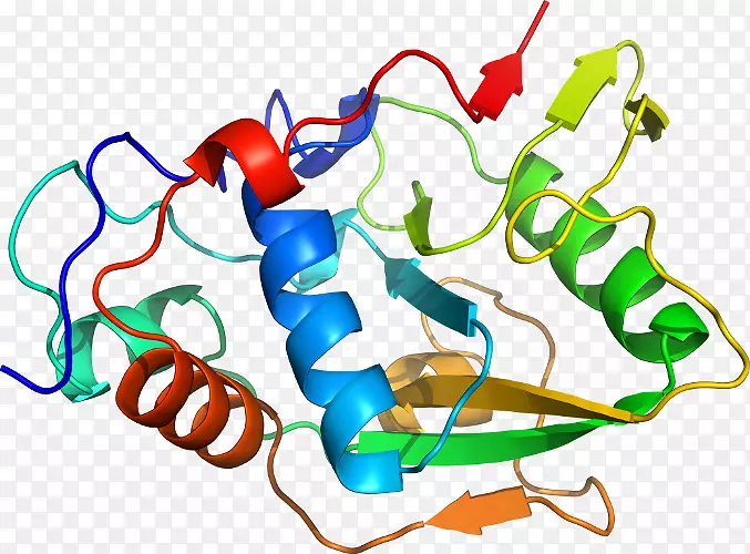 �ߵ������������-������