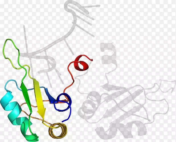 �ߵ������-��-������