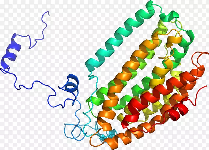 �����鱦�������.�鱦-������