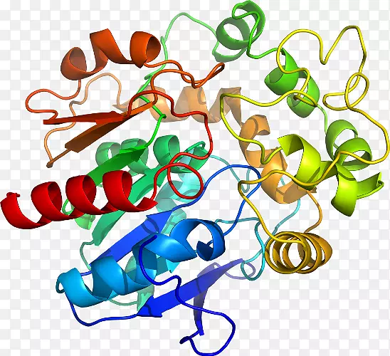 �����鱦�л�������������.�鱦-������