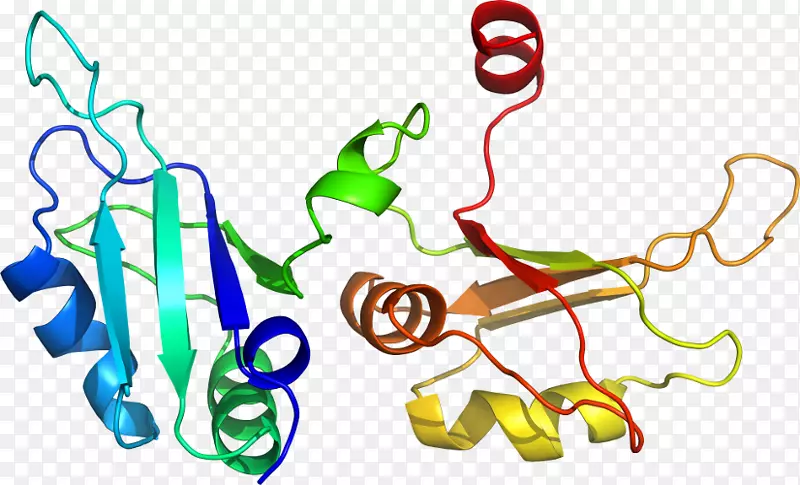 �ߵ������������-������