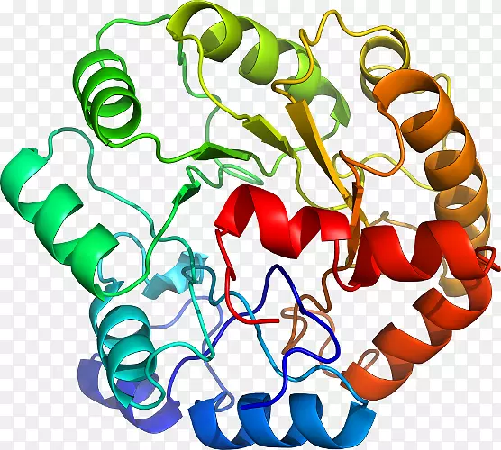 �����鱦�л�������������.�鱦-������