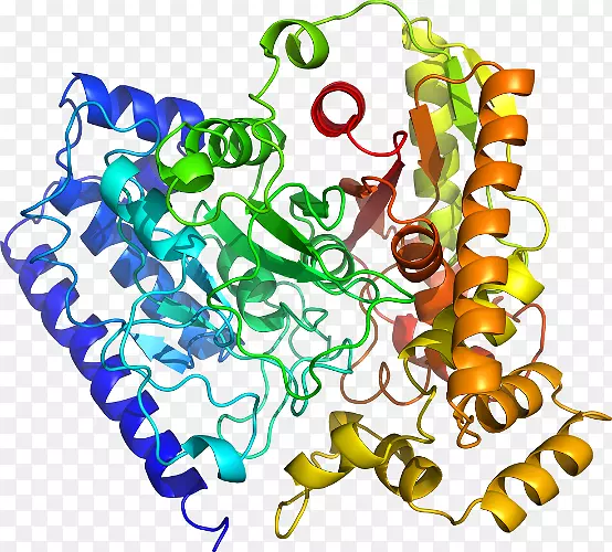 ���������鱦�л�����������鱦����-������