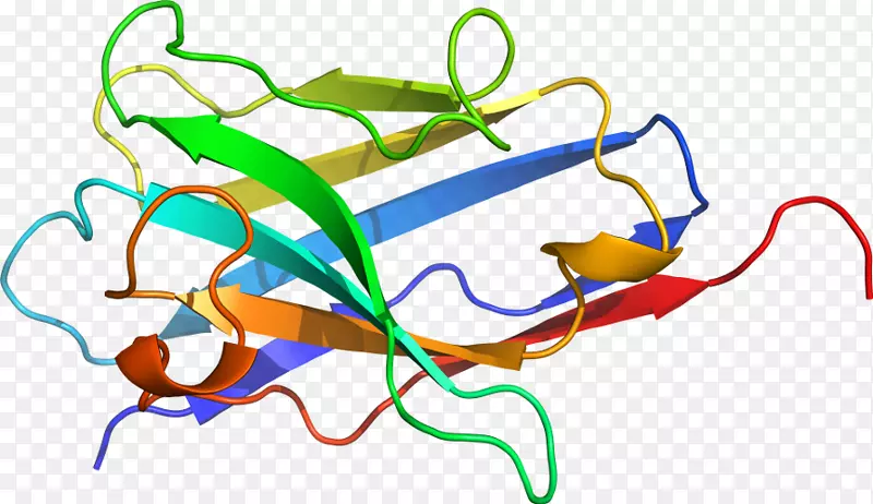 �ߵ������������-������