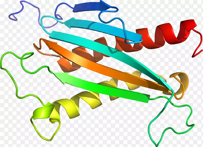 �����߶����������-������