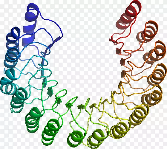 ���������л����߼�������-������