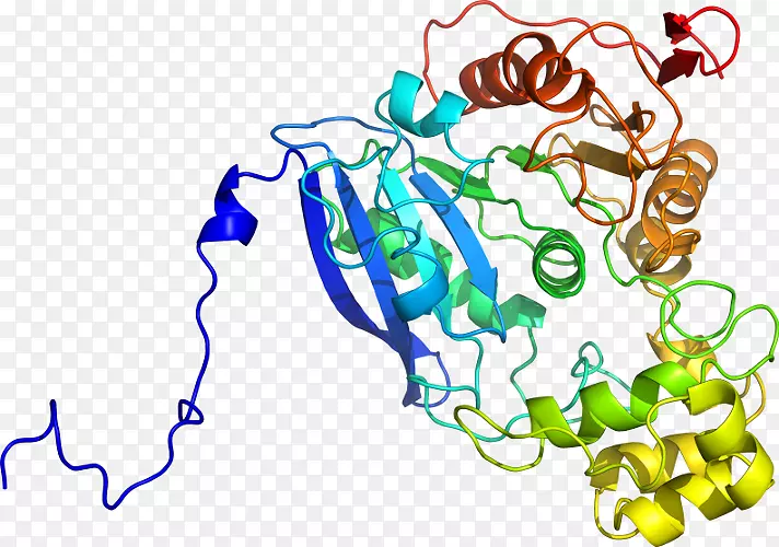 �ߵ������������-������