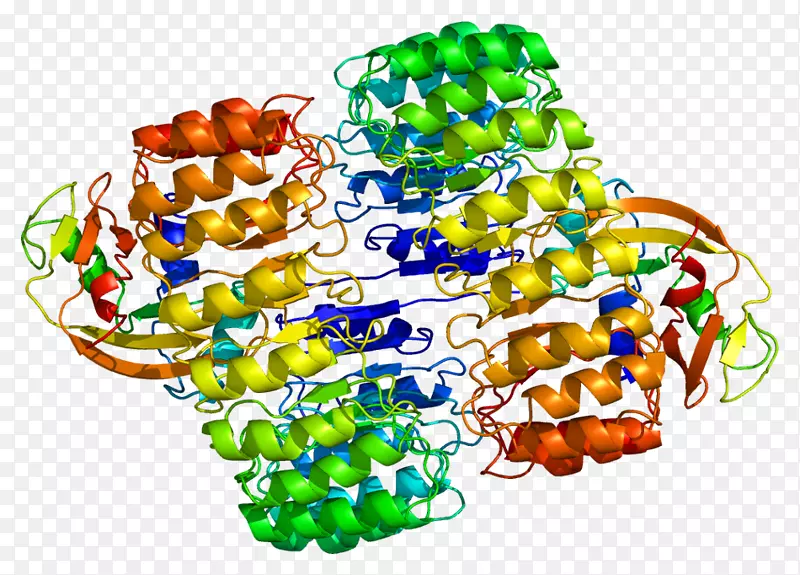 �鱦����-������