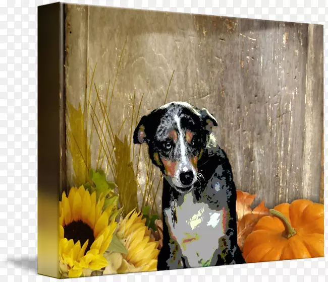 Ȯ����������ʺ��ֽ��-��-������